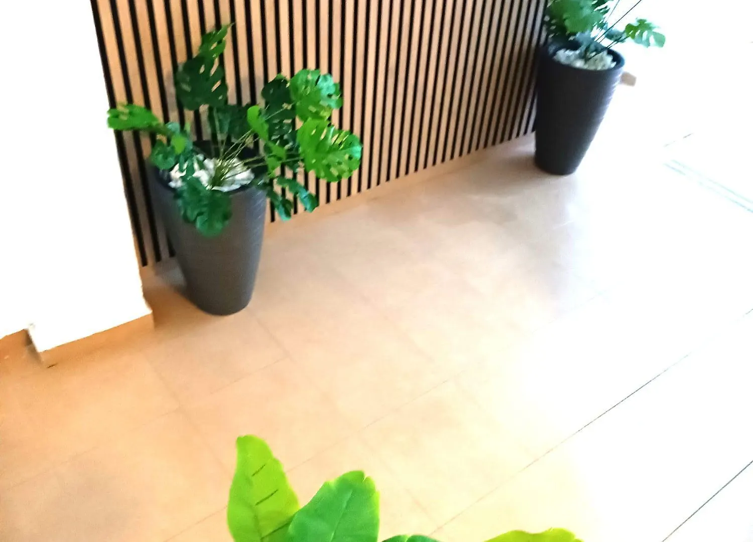 Appartamento Apartamentos Terrazas De San Juan Málaga Spagna